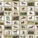 Paneelitapetti Mindthegap English Equestrian Stamps, 1.56x3m, beige/vihreä (MTG-WP20631)