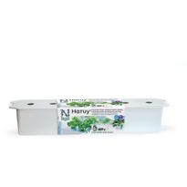 Vesiviljelylaatikko Nelson Garden Harvy6, 80cm, valkoinen