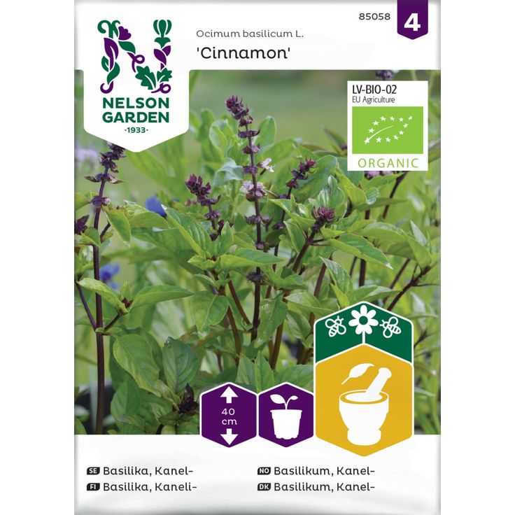 Kanelibasilika siemen Nelson Garden Cinnamon Organic