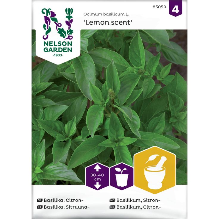 Sitruunabasilika siemen Nelson Garden Lemon scent
