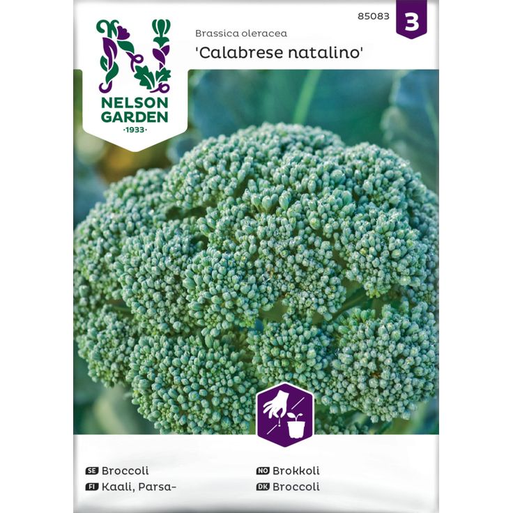 Parsakaali siemen Nelson Garden Calabrese Natalino