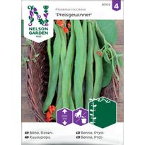 Ruusupapu Nelson Garden Preisgewinner, siemenet