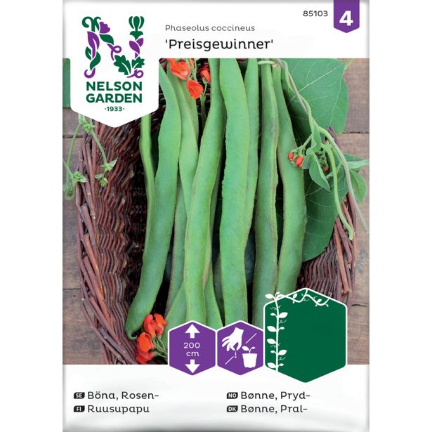 Ruusupapu siemen Nelson Garden Preisgewinner