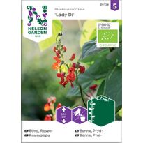 Ruusupapu Nelson Garden Lady Di Organic, siemenet