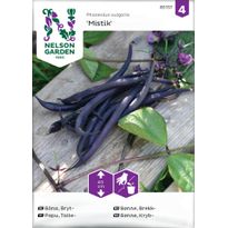 Taitepapu Nelson Garden Mistik, siemenet