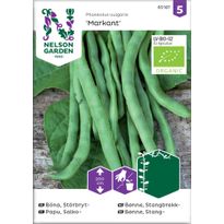 Salkopapu Nelson Garden Markant Organic, siemenet