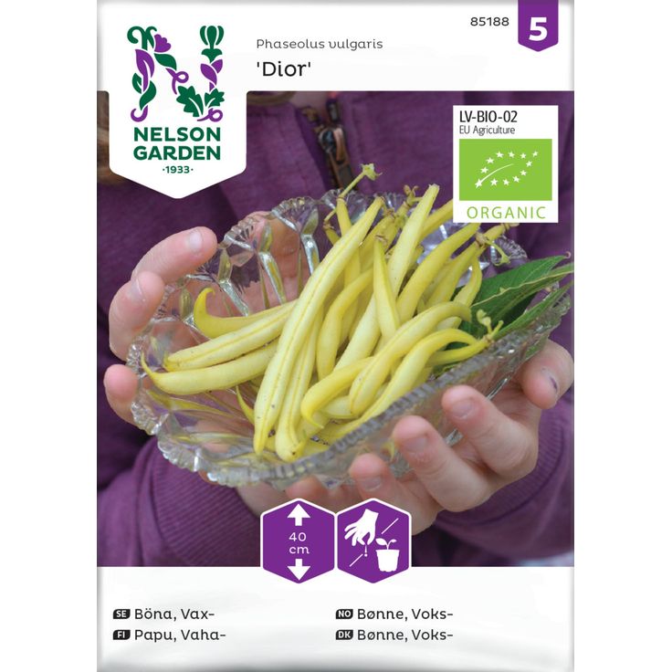 Vahapapu siemen Nelson Garden Dior Organic