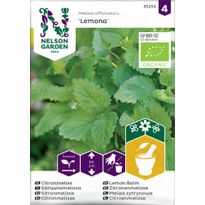 Sitruunamelissa Nelson Garden Lemona Organic, siemenet