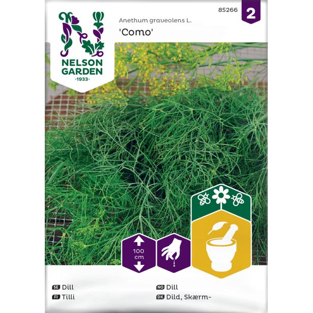 Tilli siemen Nelson Garden Como