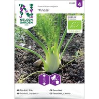Salaattifenkoli Nelson Garden Finale Organic, siemenet