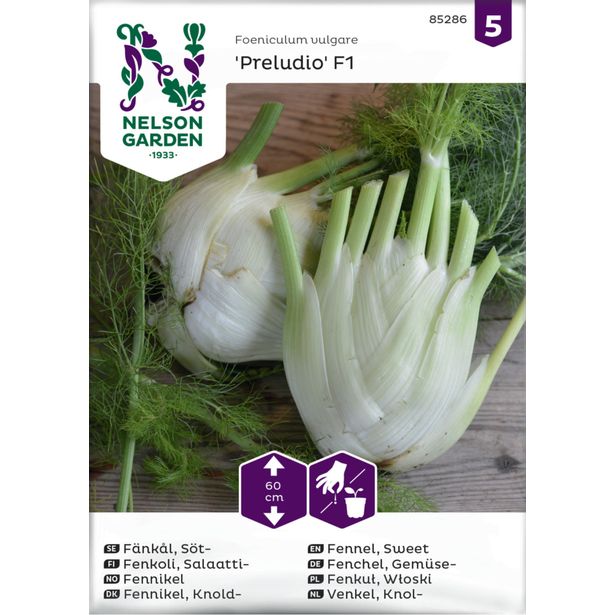 Salaattifenkoli siemen Nelson Garden Preludio F1