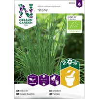 Ruohosipuli Nelson Garden Staro Organic, siemenet