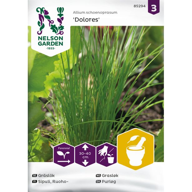 Ruohosipuli siemen Nelson Garden Dolores