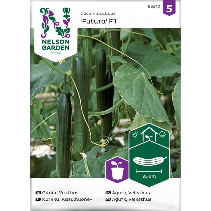 Kasvihuonekurkku siemen Nelson Garden Futura F1