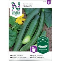 Kasvihuonekurkku Nelson Garden Bella F1, siemenet