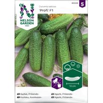 Avomaankurkku Nelson Garden Profi F1, siemenet