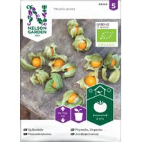 Mansikkakoiso Nelson Garden Organic, siemenet
