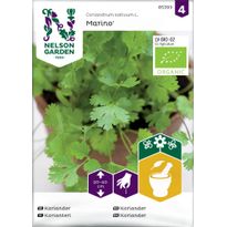 Korianteri Nelson Garden Marino Organic, siemenet
