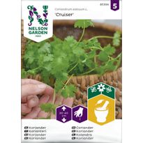 Korianteri Nelson Garden Cruiser, siemenet