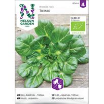 Japanilainen maustevihannes Nelson Garden Tatsoi Organic, siemenet