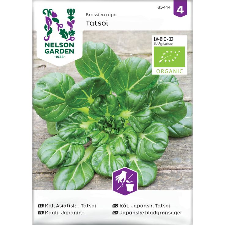 Japanilainen maustevihannes siemen Nelson Garden Tatsoi Organic