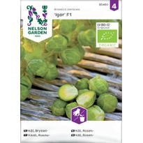 Ruusukaali Nelson Garden Igor F1 Organic, siemenet
