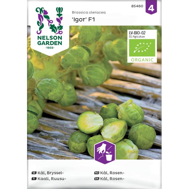 Ruusukaali siemen Nelson Garden Igor F1 Organic