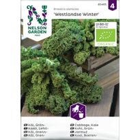 Lehtikaali Nelson Garden Westlandse Winter Organic, siemenet