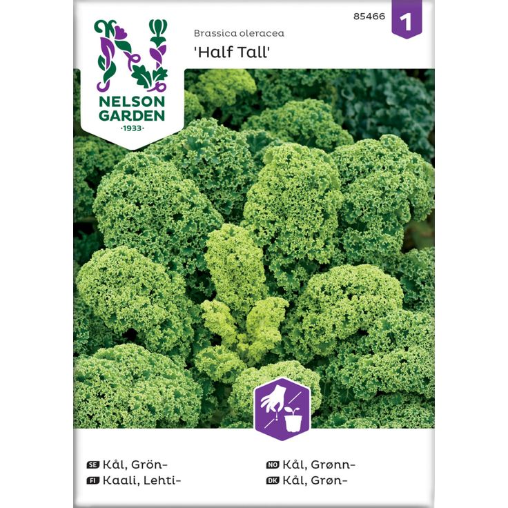 Lehtikaali siemen Nelson Garden Half Tall