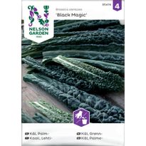Lehtikaali Nelson Garden Black Magic, siemenet