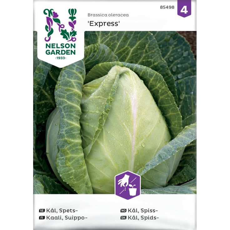 Suippokaali siemen Nelson Garden Express