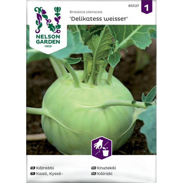 Kyssäkaali siemen Nelson Garden Delikatess Weisser