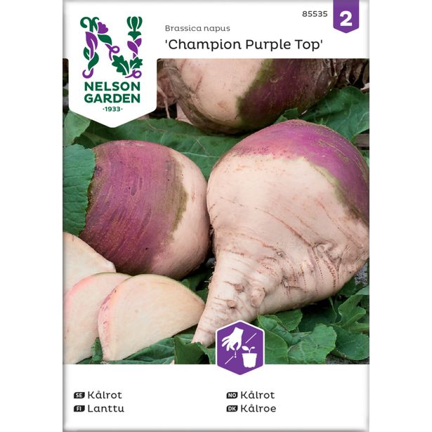 Lanttu siemen Nelson Garden Champion Purple Top