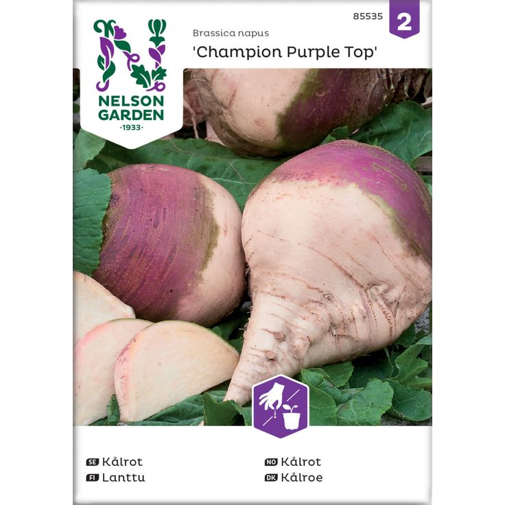 Lanttu siemen Nelson Garden Champion Purple Top