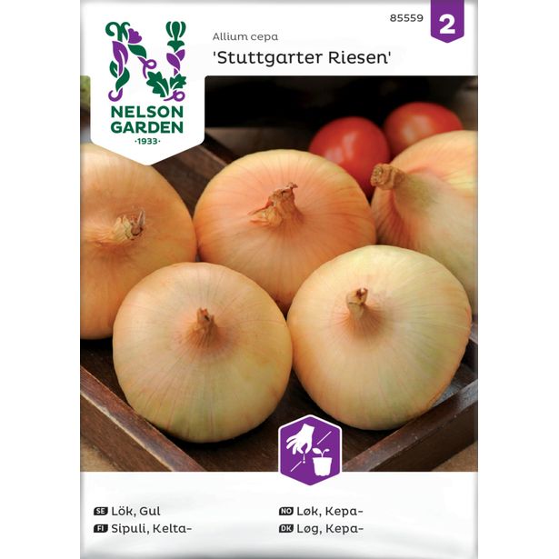Keltasipuli siemen Nelson Garden Stuttgarter Riesen