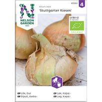 Keltasipuli Nelson Garden Stuttgart Riesen Organic, siemenet