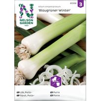 Purjosipuli Nelson Garden Blaugrüner Winter, siemenet