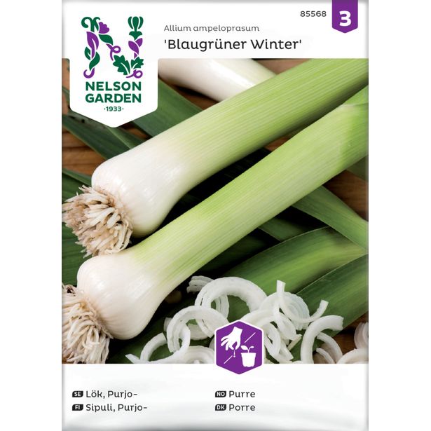 Purjosipuli siemen Nelson Garden Blaugrüner Winter