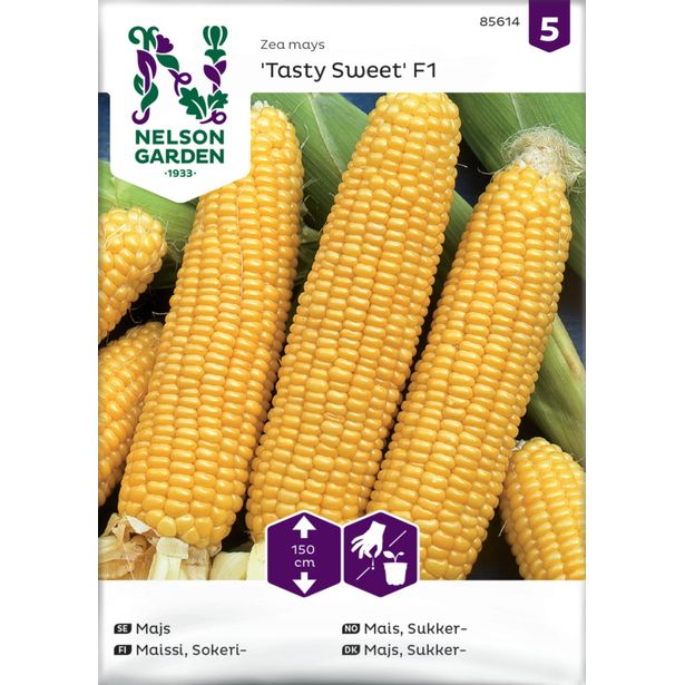 Sokerimaissi siemen Nelson Garden Tasty Sweet F2