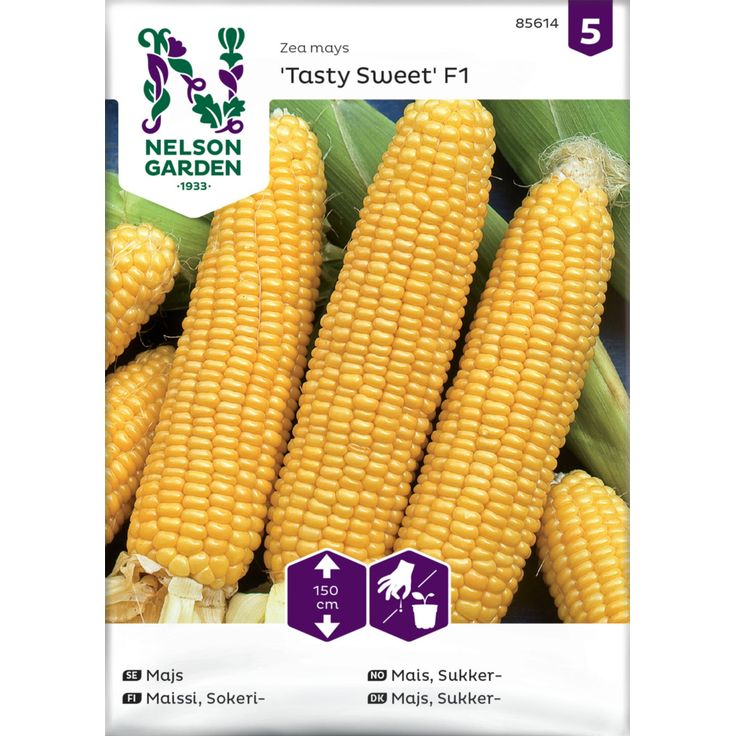 Sokerimaissi siemen Nelson Garden Tasty Sweet F2