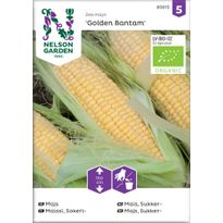 Sokerimaissi Nelson Garden Golden Bantam Organic, siemenet