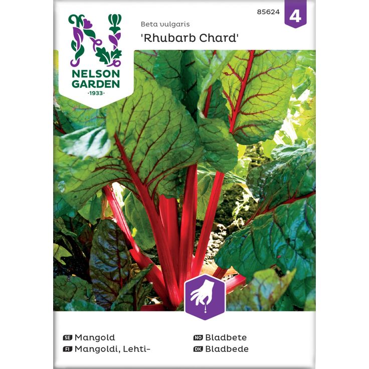 Lehtimangoldi siemen Nelson Garden Rhubarb Chard