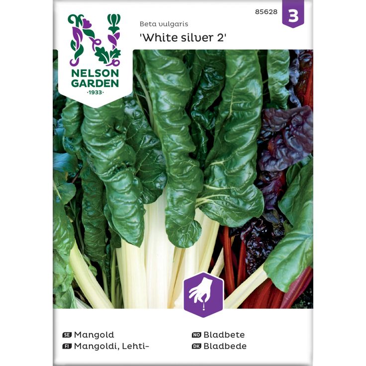Lehtimangoldi siemen Nelson Garden White silver 2