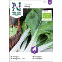 Lehtimangoldi Nelson Garden Whity Organic, siemenet