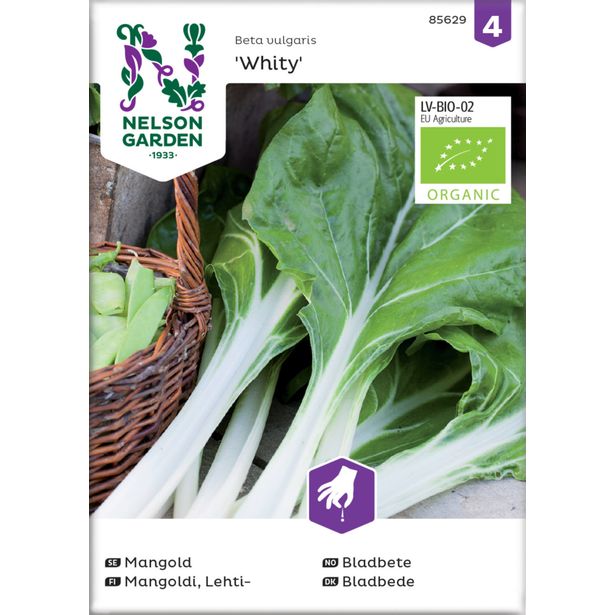 Lehtimangoldi siemen Nelson Garden Whity Organic