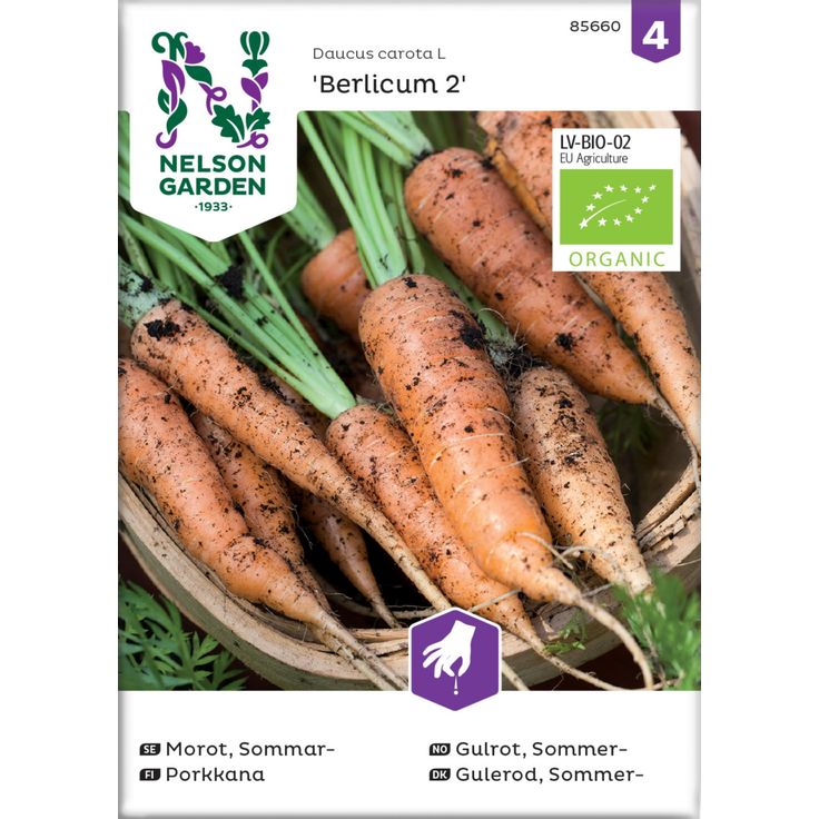 Porkkana siemen Nelson Garden Berlicum 2 Organic