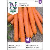 Porkkana Nelson Garden Flyaway F1, siemenet