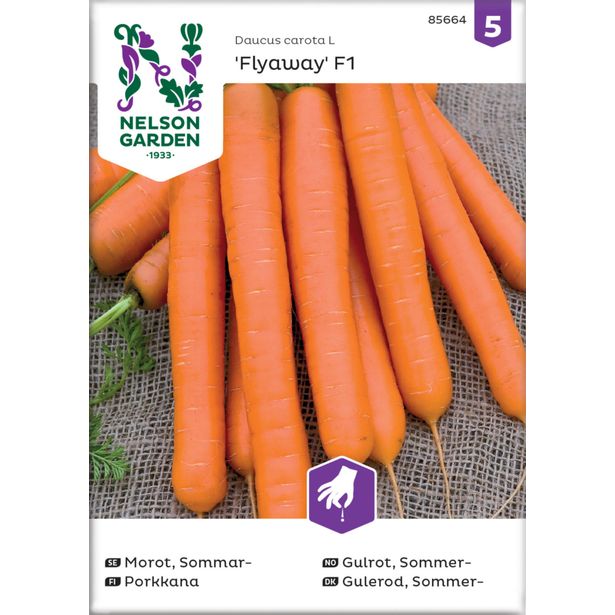Porkkana siemen Nelson Garden Flyaway F1