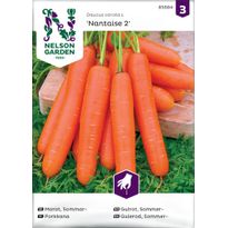Porkkana Nelson Garden Nantaise 2, siemenet