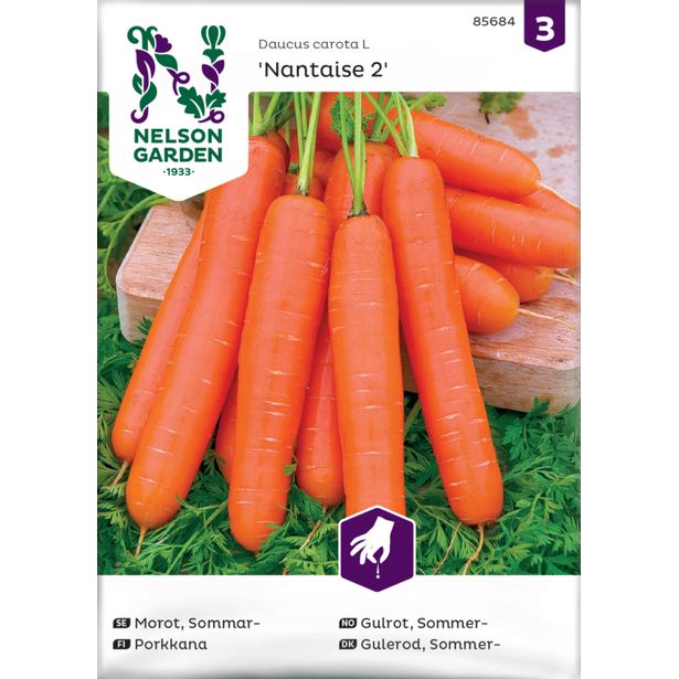 Porkkana siemen Nelson Garden Nantaise 2